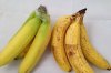 bananas_no_black.jpg