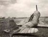 cargo-cult-1.jpg