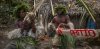 cargo-cult-3.jpg