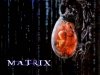 matrix.jpg