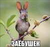zaebuwek.jpg