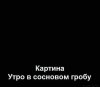 utro_v_sosnovon_grobu.jpg